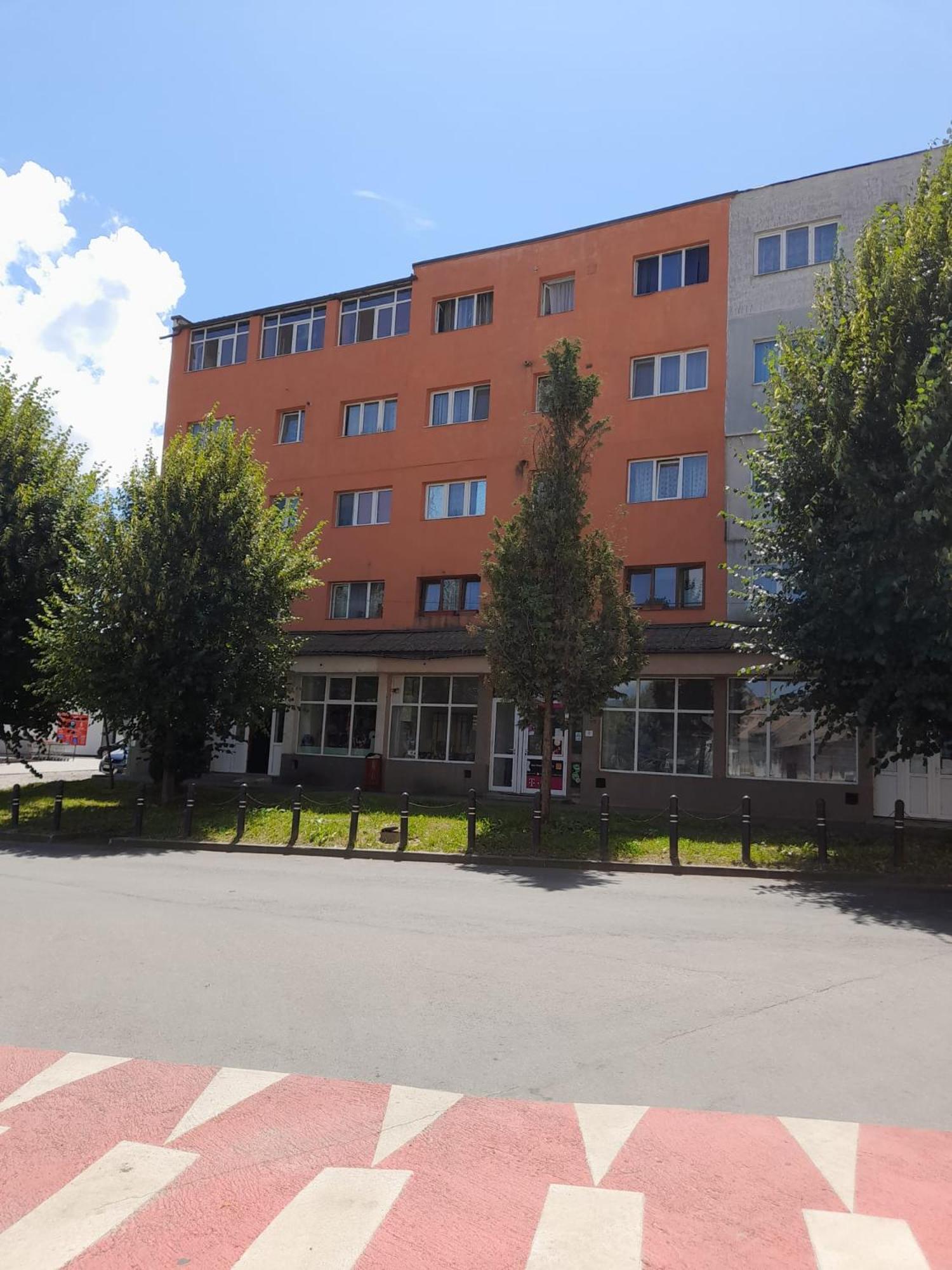 Apartament La Ilie Apartamento Ocna Sibiului Exterior foto