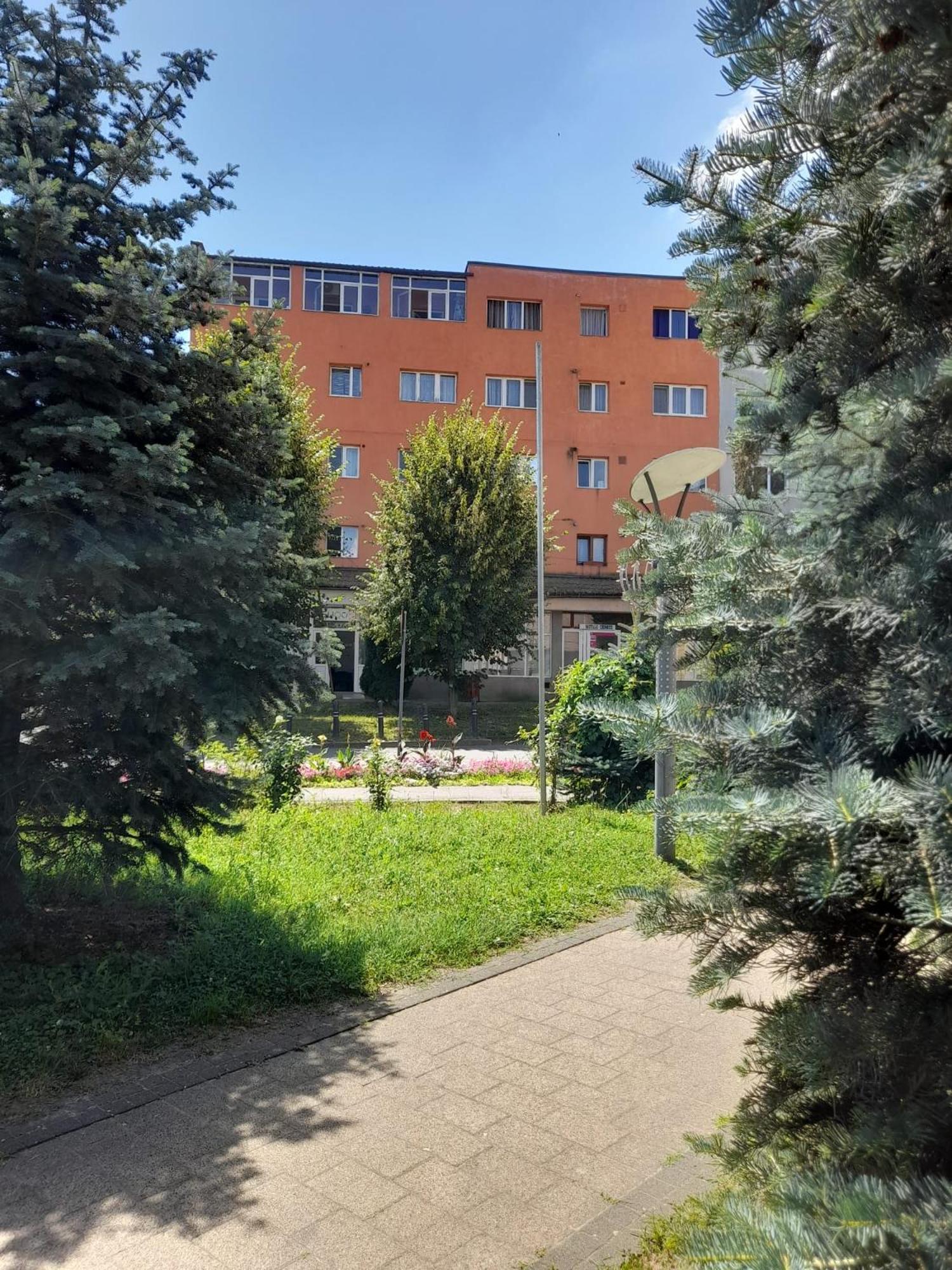 Apartament La Ilie Apartamento Ocna Sibiului Exterior foto